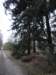 NWK 015_small.jpg